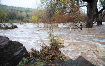 flood
